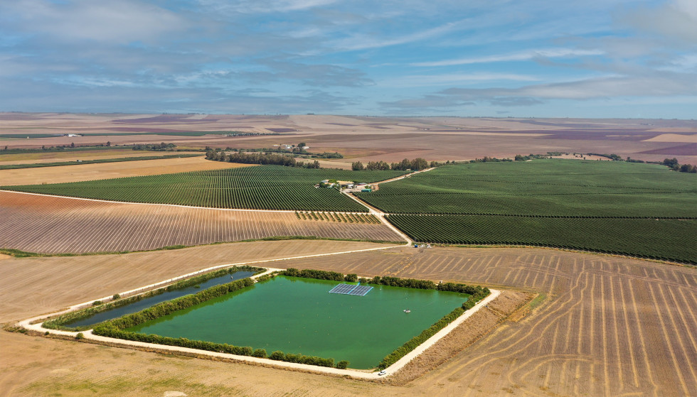 Finca El Valenciano oleo280723