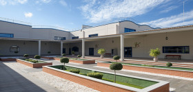 Picualia oleo050923