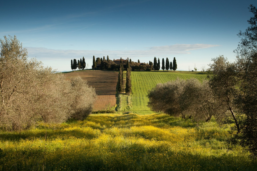 Toscana pixabay citta olio oleo200923