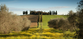 Toscana pixabay citta olio oleo200923