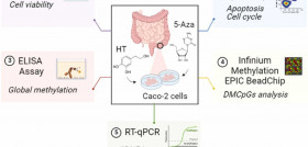 Grafico proceso analisis cancer colon aove194 oleo141123