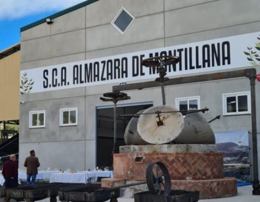 Cooperativa. montillana granada oleo161123