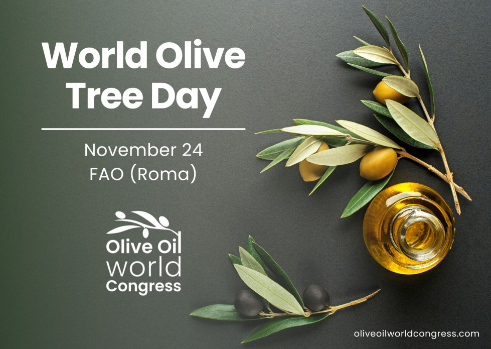 World Olive Tree Day WOOE oleo171123