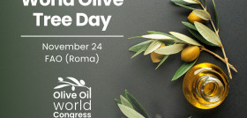World Olive Tree Day WOOE oleo171123