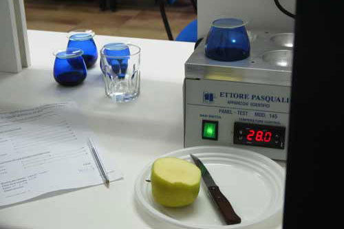 Laboratorio montes toledo acreditacion coi aceite de oliva2 oleo111223