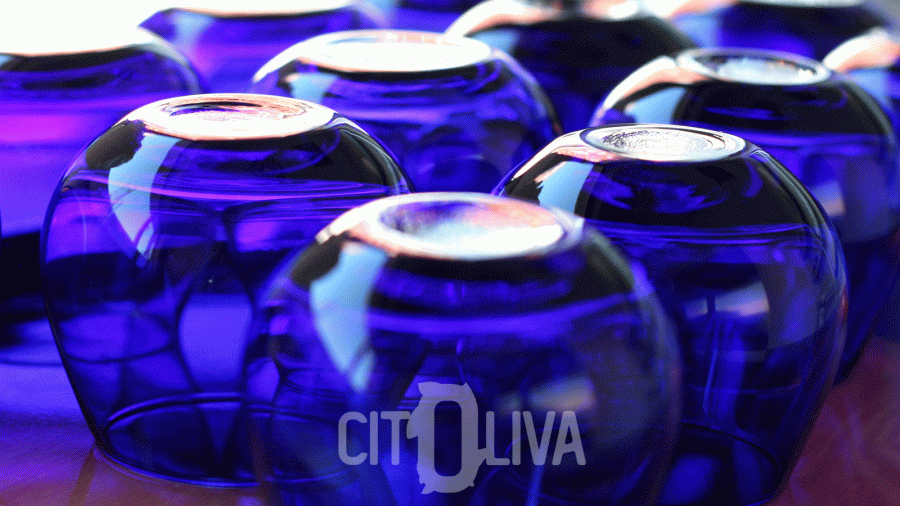 Citoliva laboratorio aceite de oliva oleo131223