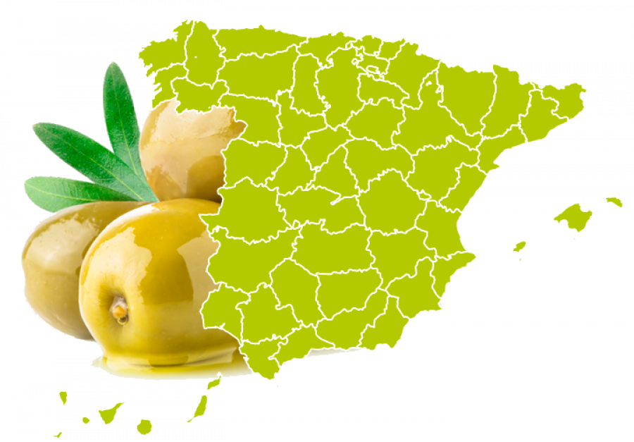 Mapa oleoteca