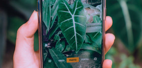 Pexels nothing ahead app csic oleo281223