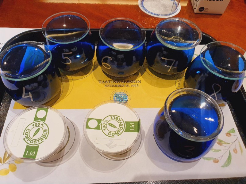 Cata coi aceite de oliva oleo281223