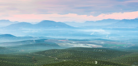 Paisaje olivar jaen patrimonio mundial oleo281223