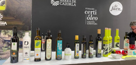 Fundacion certioleo aceite de oliva virgen extra oleo030124