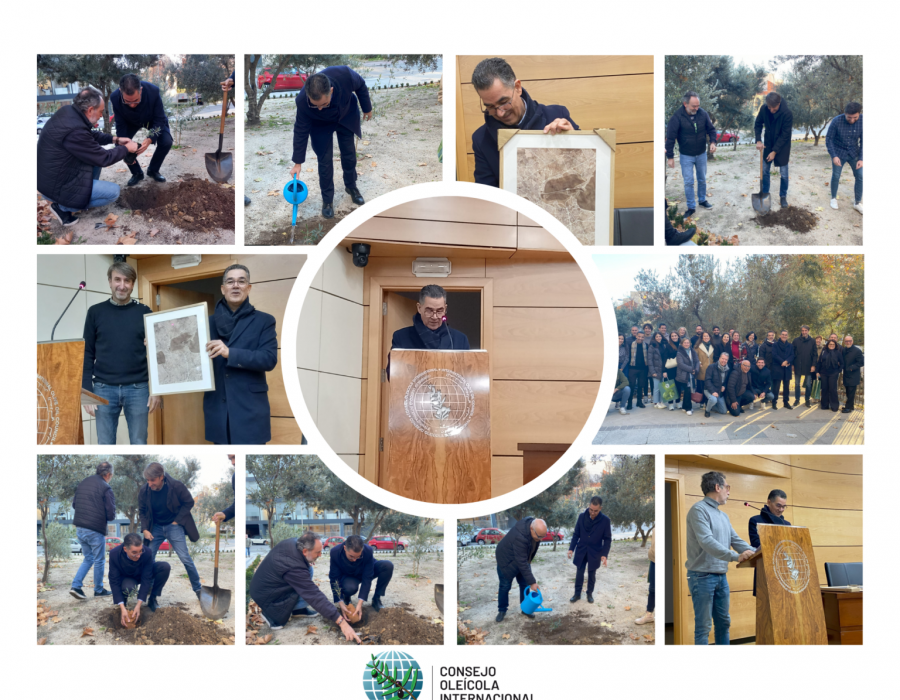 Abdellatif Ghedira despedida ioc aeite de oliva oleo080124
