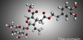 Navarrabiomed oleuropeína cancer oleo230124