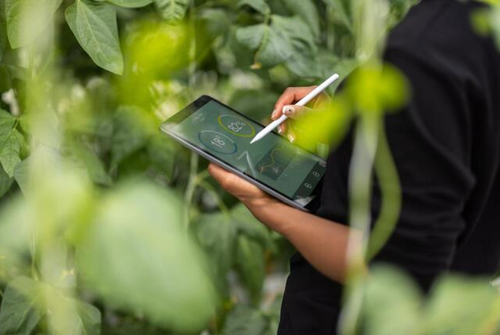 Primer plano de una tablet controlando una plantación agrónoma   opinion telefonica195 oleo070224