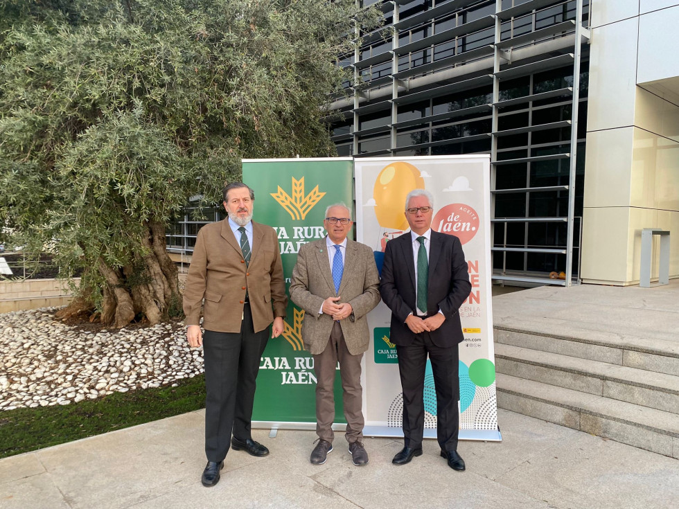Igp aceite jaen caja rural oleo200224