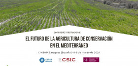 CIHEAMZaragoza Agricultura Conservacion CAMA oleo260224