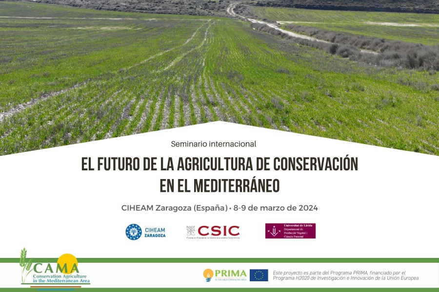 CIHEAMZaragoza Agricultura Conservacion CAMA oleo260224