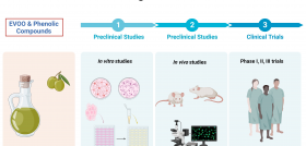 Aove alzheimer estudio oleo270224