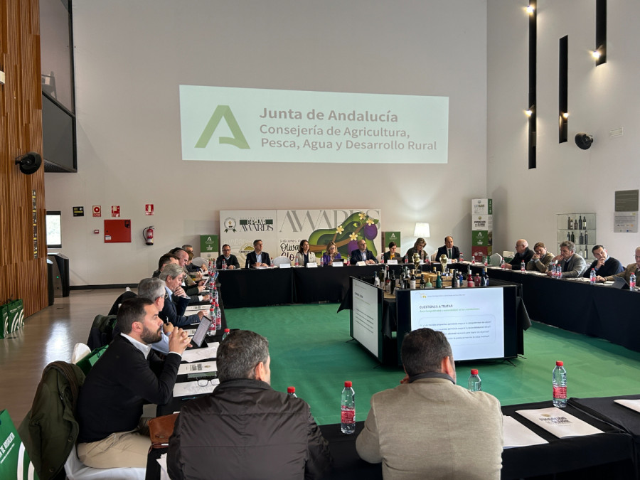 Estrategia olivar fundacion olivar oleo190324