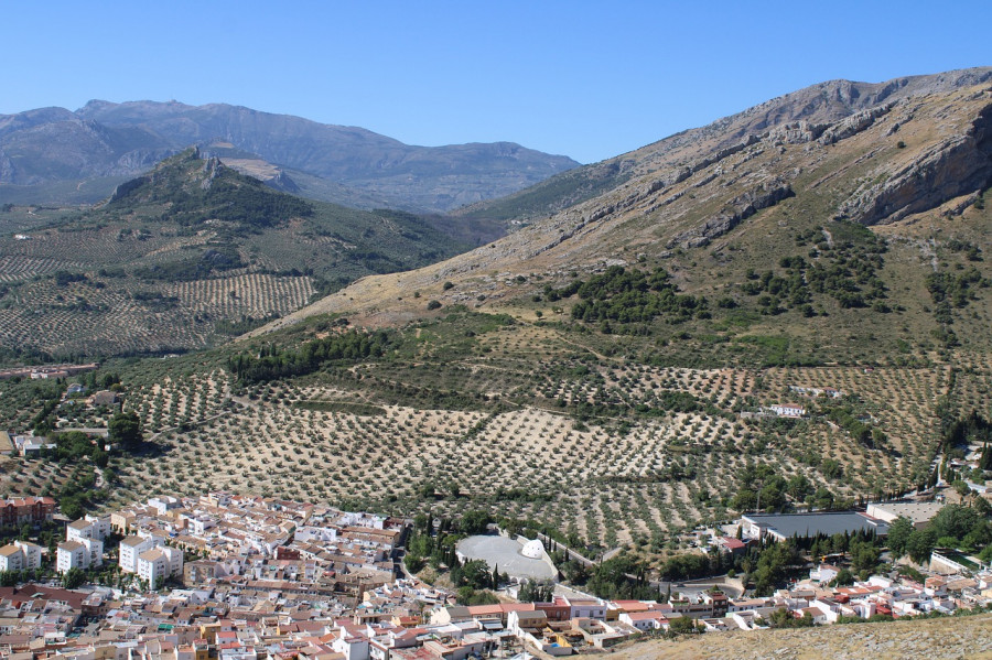 Paisajes olivar jaen oleo270324