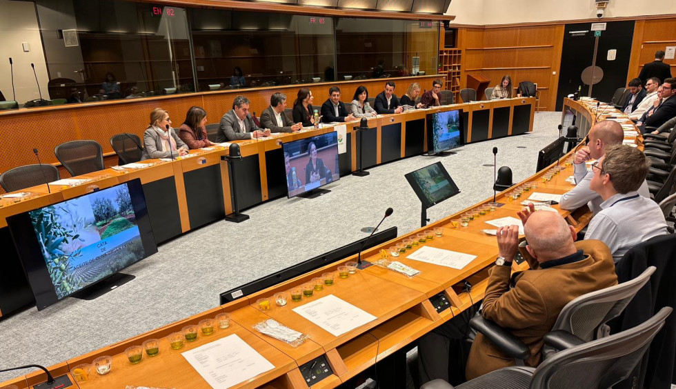 Europarlamentarios aove dipu jaen oleo050424