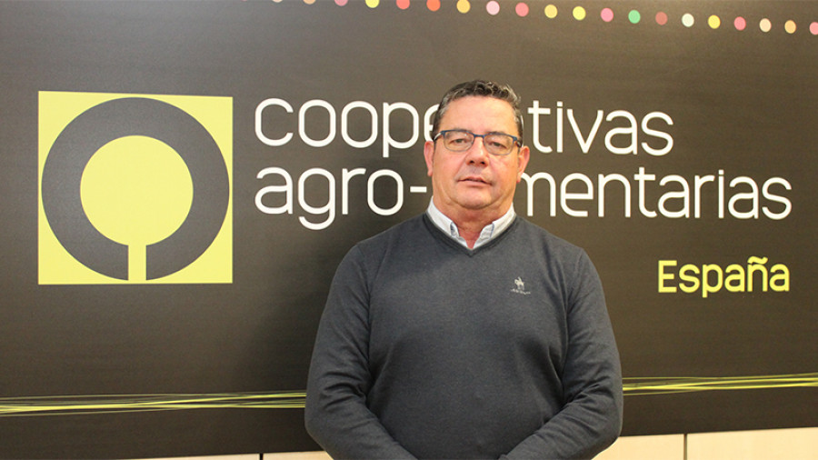 Gabriel cabello cooperativas aceituna mesa oleo230424