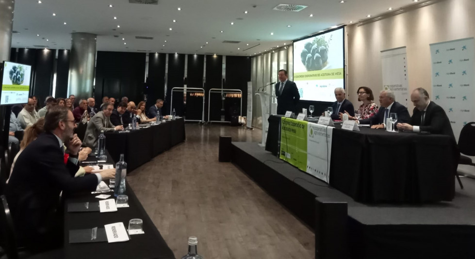 Aceituna mesa cooperativas oleo240424