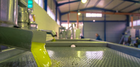 Almazara fabricacion aove solabro clm oleo220524
