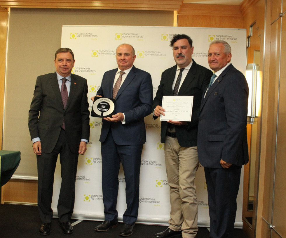 Oleand Innovación remios ciudad sevilla oleo270524