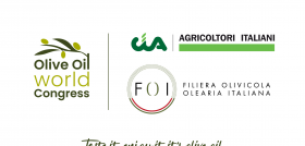CIAyFOOI oowc oleo070624
