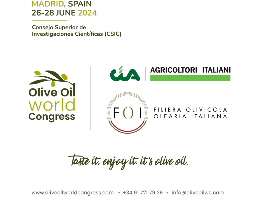 CIAyFOOI oowc oleo070624