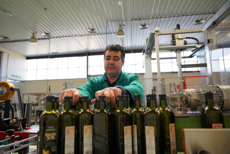 Oleocampo mercados2 oleo210624
