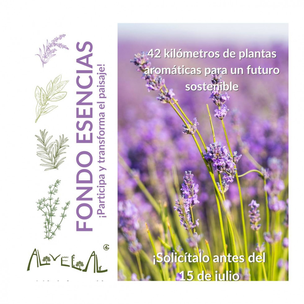 AlVelAl  fondo esencias cultivo leñosos oleo270624
