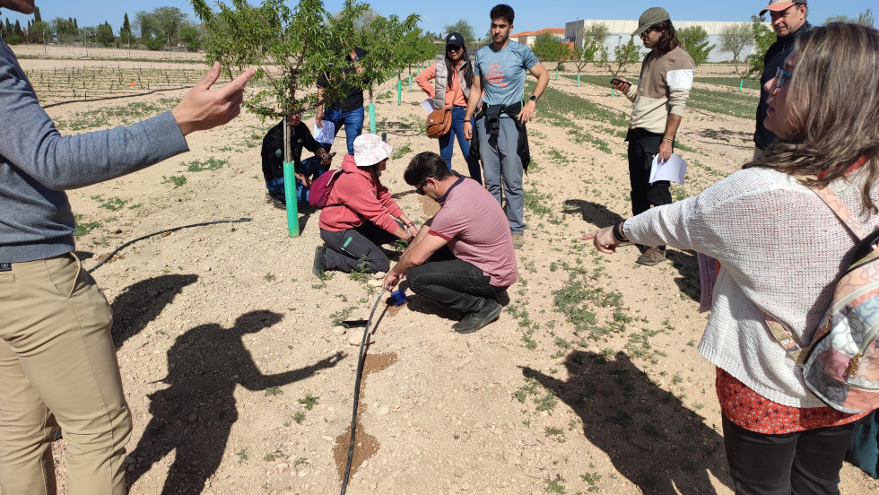 Proyecto fields cooperativas oleo020724