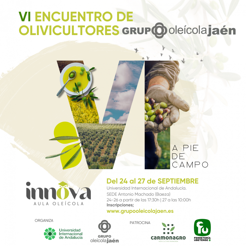 VI Encuentro de  Olivicultores oleo150724