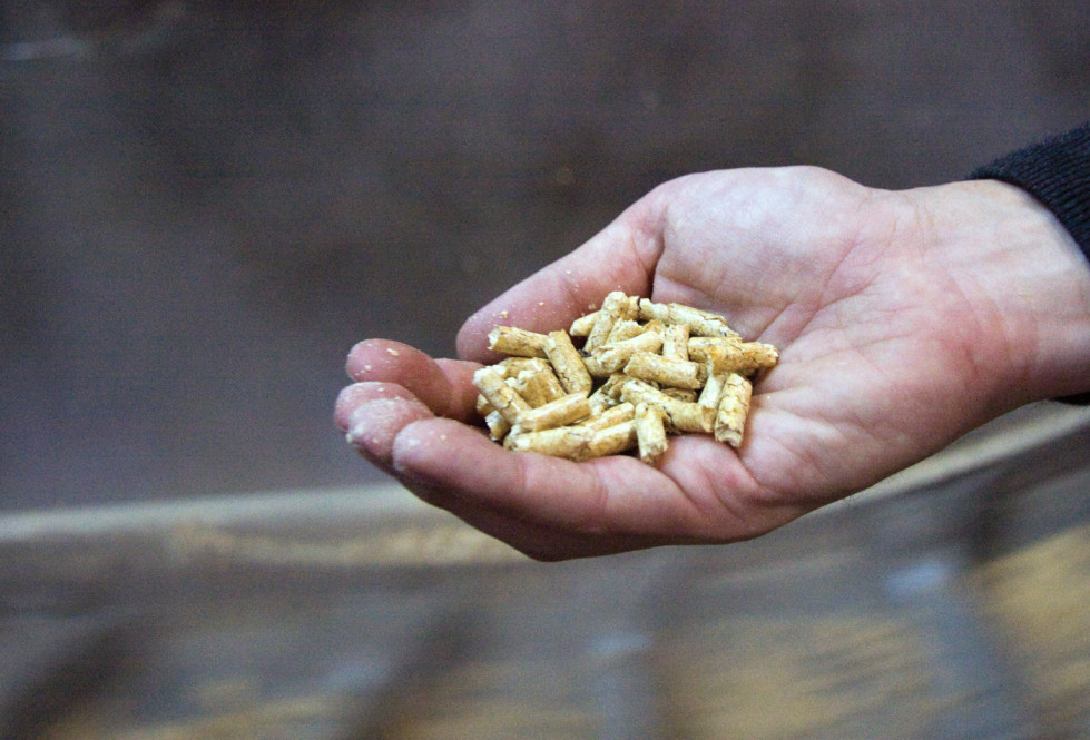 Pellet iva reducido avebiom oleo070724
