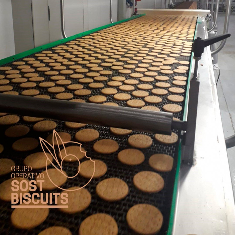 Sostbiscuits ctioliva oleo100225