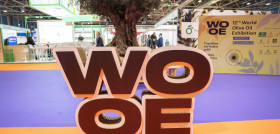 Wooe20251 oleo140325