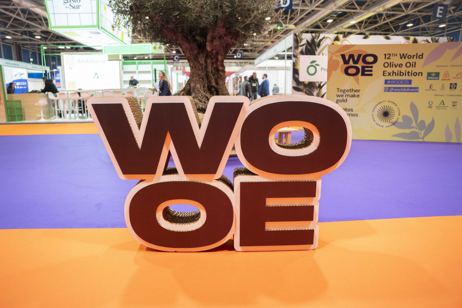 Wooe20251 oleo140325
