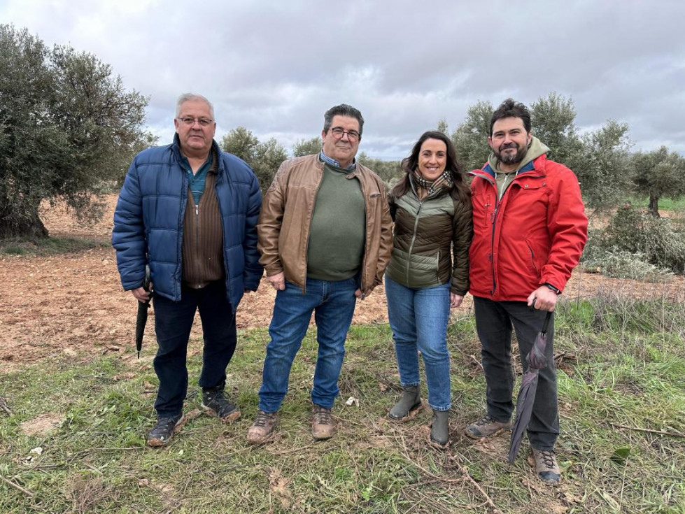 Toledo clm campaña aceituna oleo190325