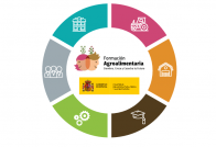 Estrategia formacion. mapa oleo210325