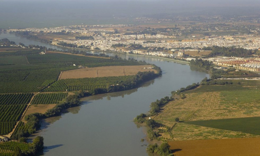 Guadalquivir001 chg oleo250325