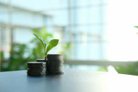 Pexels towfiqu barbhuiya curso unia microcredenciales oleo310325