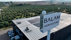 Sede central de BALAM Agriculture en Villafranca de Cordoba Autor BALAM Agriculture  oleo030425