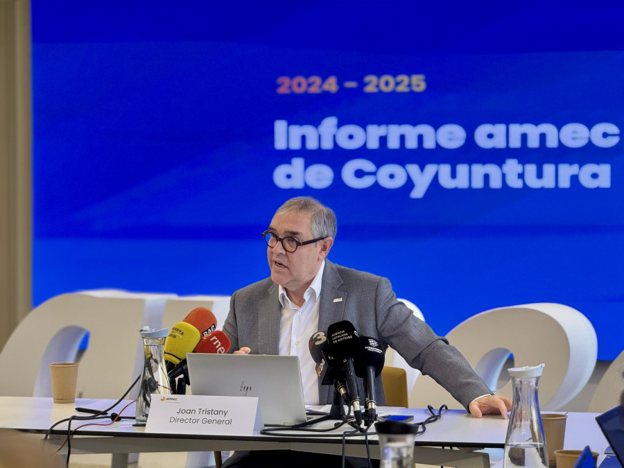 Amec coyuntura 2024 oleo140425