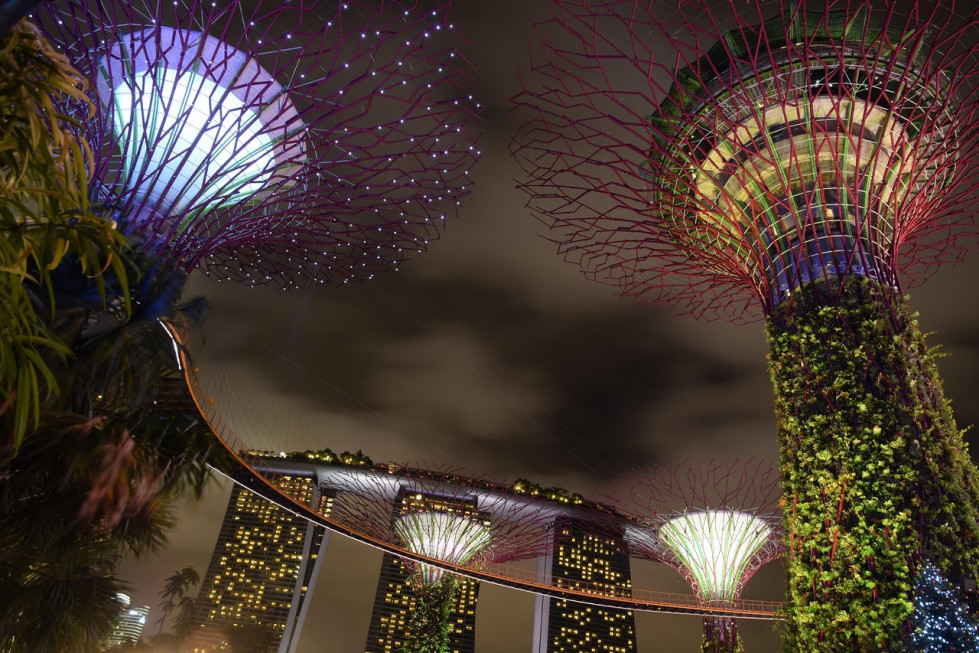 Singapur pixabay oleo050525