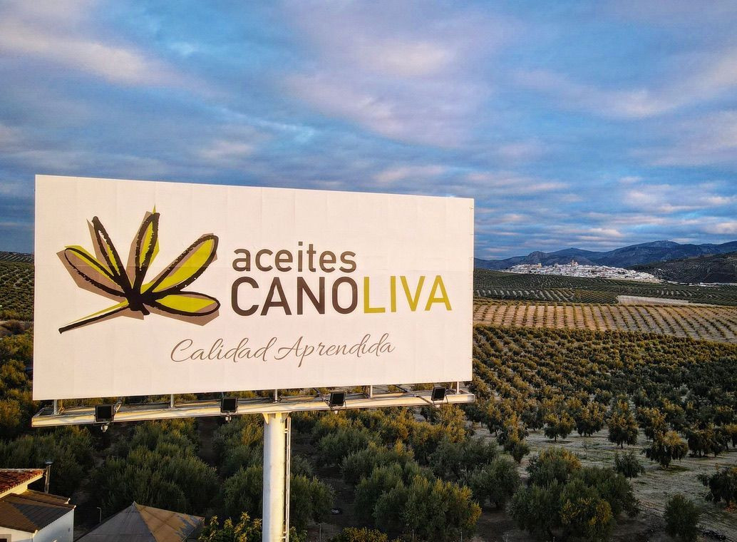 2Almazara Accesit Almazara Canoliva oleo080525
