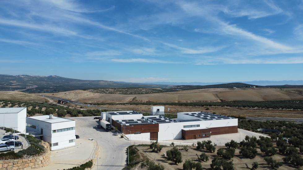 Finca Cortijo de Guadiana aenor oleo130525