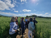 Navarra 360 visita25 eitfood oleo080525
