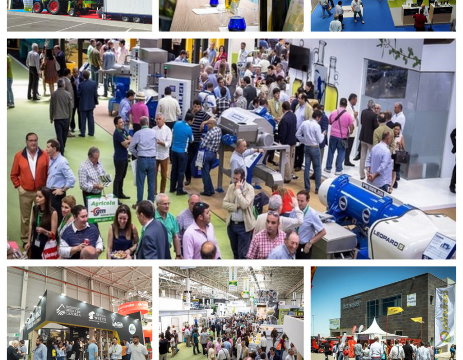 Expoliva2025 empiece oleo140525